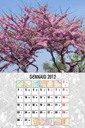 fotocalendario 2012