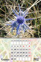 fotocalendario 2012