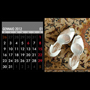 fotocalendario 2012