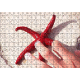 Puzzle 35x50 540 pezzi