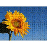 Puzzle 50x70 1080 pezzi