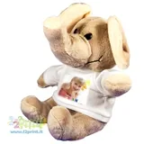 Elefante Mottolin Con Foto