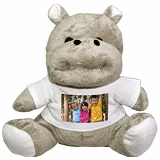 Ippopotamo Boom Con Foto