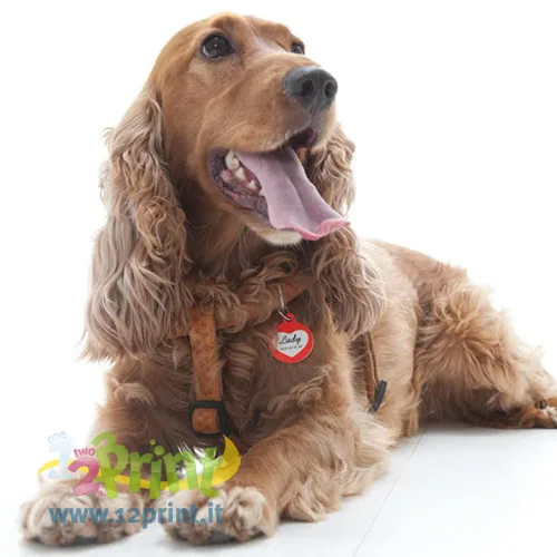 Medaglietta Cane Cerchio
