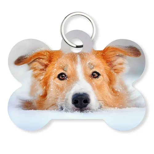 Medaglietta a osso per cane personalizzata con foto