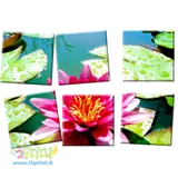 Mosaico Ceramica 20x30