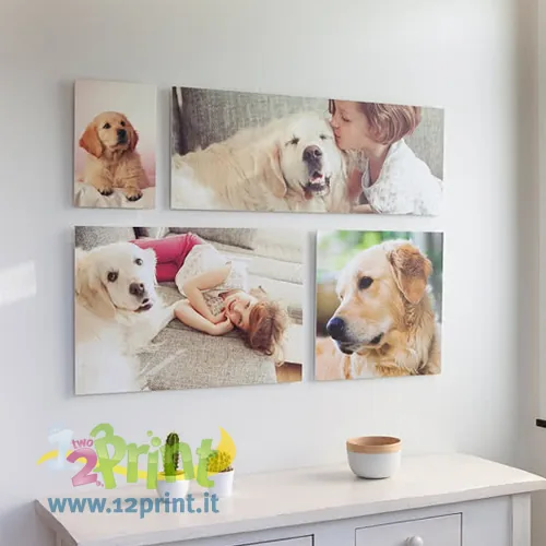 Pannello forex personalizzato con foto
