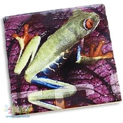 Piastrella Ceramica 10x10 Su Cavalletto