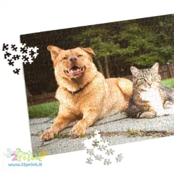Puzzle 40x60 768 Pezzi