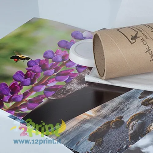 Stampa Poster